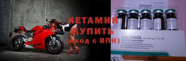 крисы Алексин