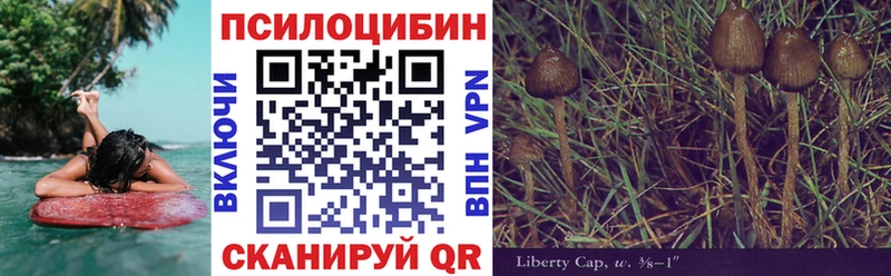 где купить наркотик Ессентукская Псилоцибиновые грибы GOLDEN TEACHER